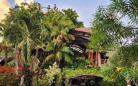 Hotel Cabaña Guainiana